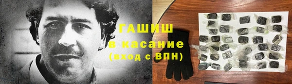 шишки Покачи