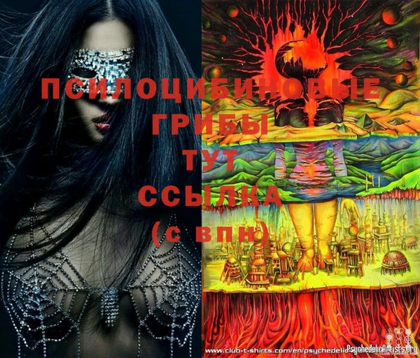 ПСИЛОЦИБИНОВЫЕ ГРИБЫ Пестово