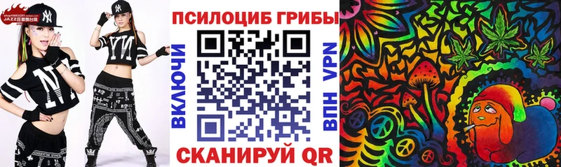 Купить закладки Подольск Галлюциногенные грибы Psilocybe